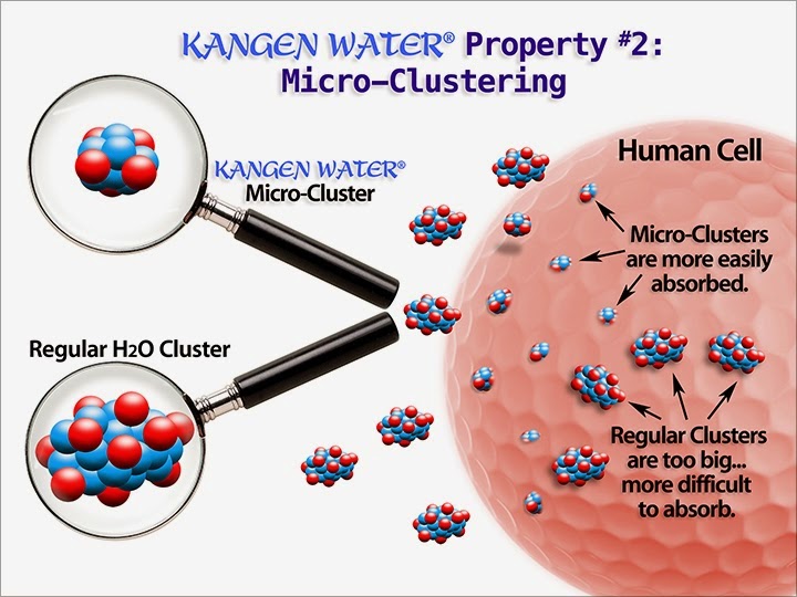 Minuman Sehat Masa Depan "KanGen Water"