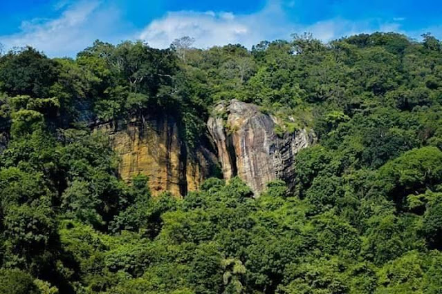 සුන්දර ජලාශයක් බලන්න ‍යමුද... - තැම්පාන ජලාශය ❤🌳🌱🎋🍃 (Thampana) - Your Choice Way