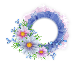 flowers frames designs photoshop wallpapers frame transparent round pink