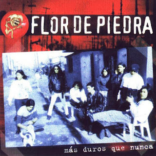 flor de piedra mas duros que nunca