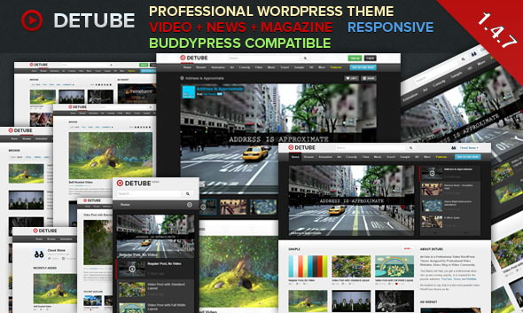 WordPress Responsive Video Themes