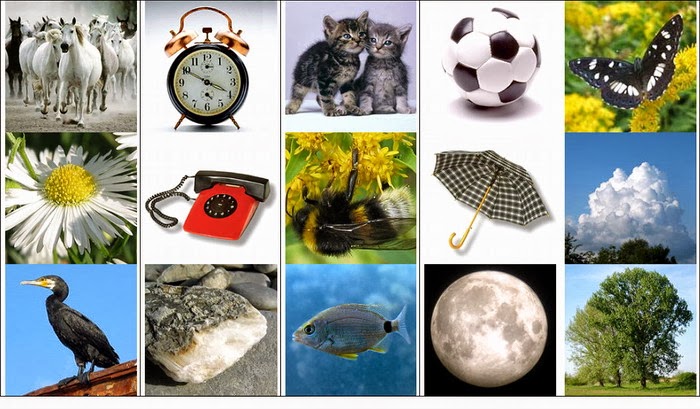 Рассказ где все слова начинаются на букву п видео https://1.bp.blogspot.com/-4F8BRbcaOWY/UmKRxMcRYPI/AAAAAAAADMA/1FDmjOlaWhI/s1600/JivoeNejivoe(1).jpg