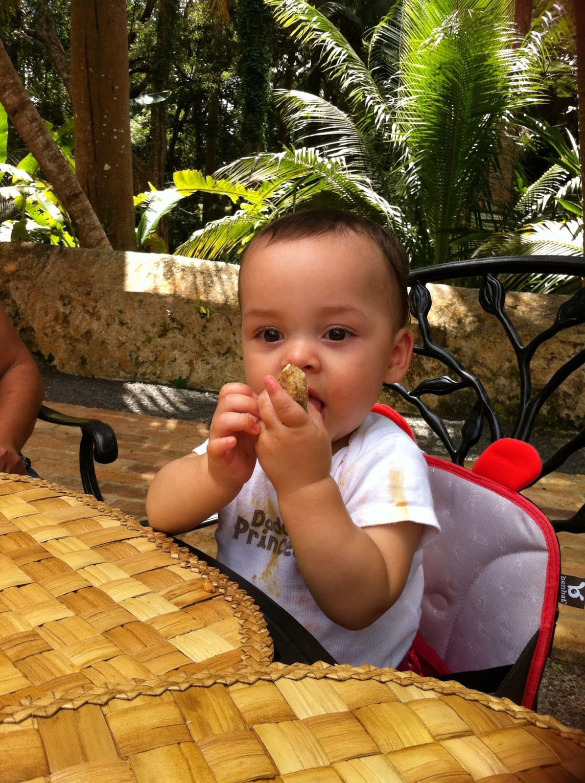 Crunchy Mom with Sprinkles What do I feed my baby? Part 1