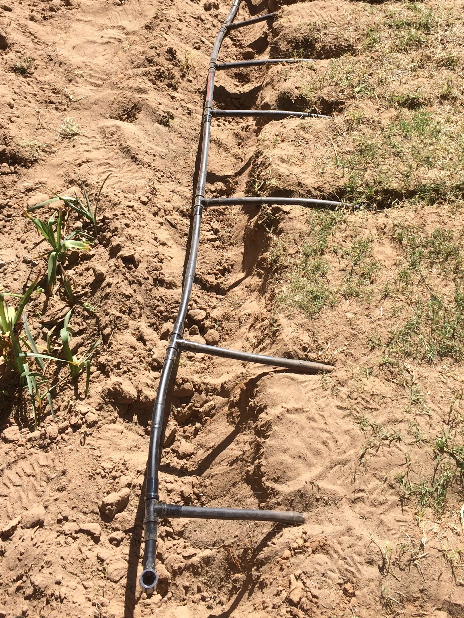 Subsurface Drip Irrigation for New Mexico Turf