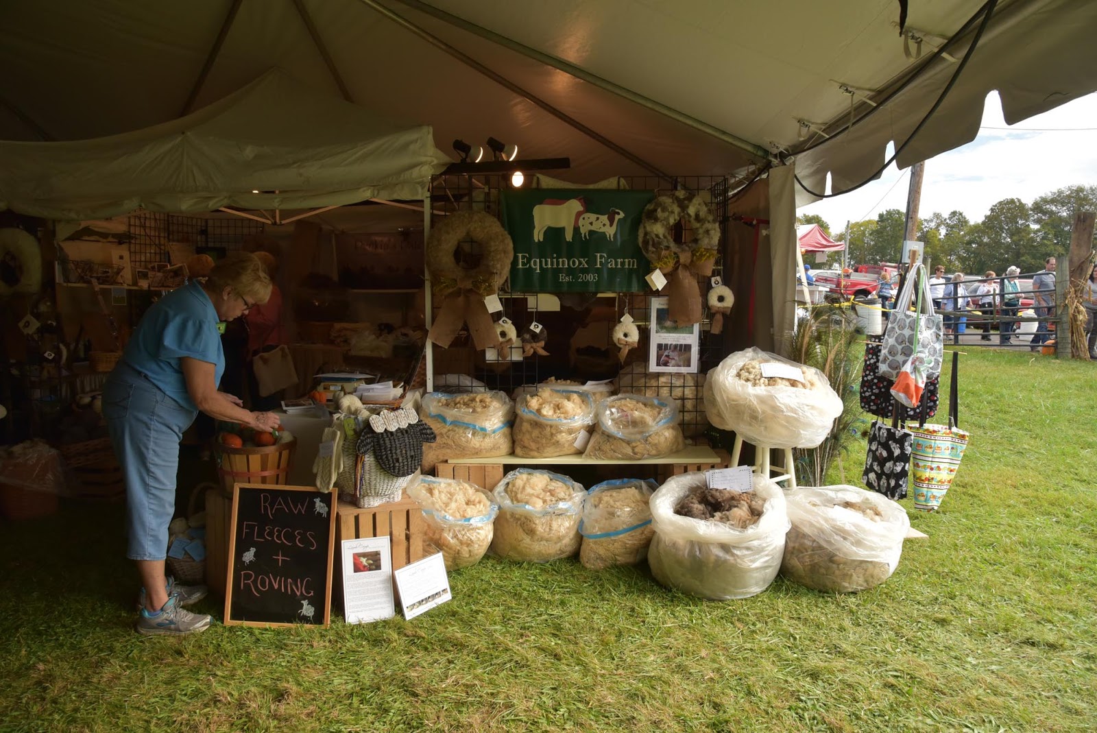 Ky Wool Festival Sheep and Wool Tent Friday Fun!