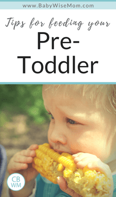 Tips for Feeding Your Pre-Toddler. Tips for feeding your 12-18 month old. What to feed and when to feed. Tips for Feeding Your Pre-Toddler. Tips for feeding your 12-18 month old. What to feed and when to feed.