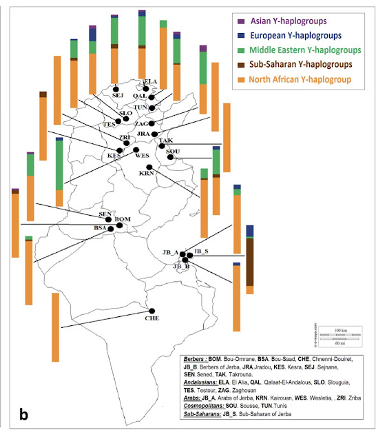 دراسة علمية جديدة تؤكد: الغالبية العظمى من التونسيين هم أمازيغ الأصل E77VpSxX0AAI2Cn