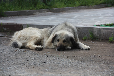 Велопоход «Армения-2017»