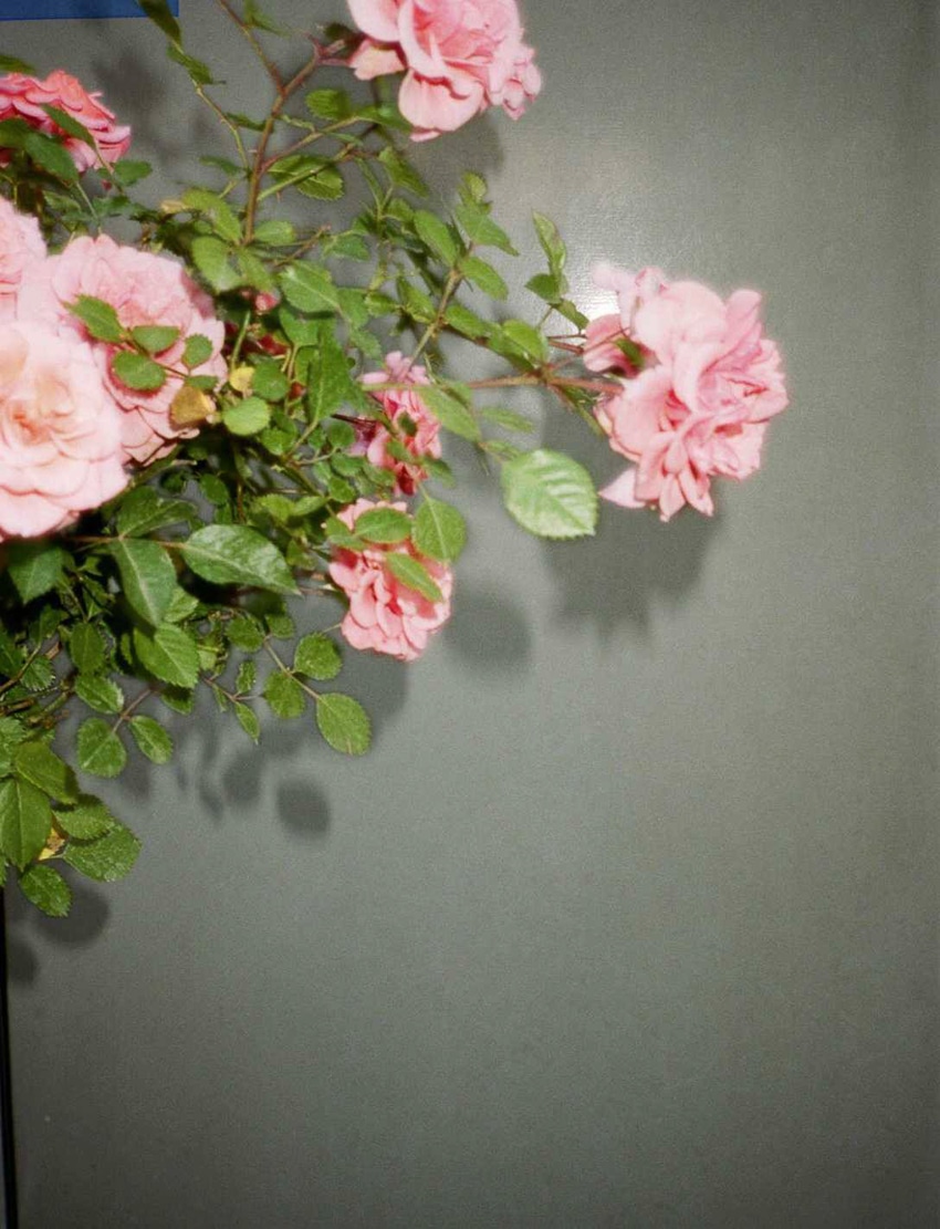 Fashion Editorial: Bella Hadid by Ben Morris for ELLE Russia September 2017