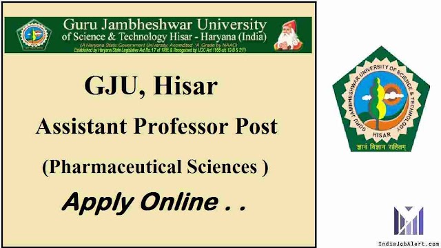 GJU Hisar Assistant Professor Online Form