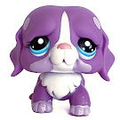 Littlest Pet Shop Singles St. Bernard (#2405) Pet