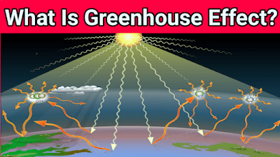 What is the Greenhouse Effect?