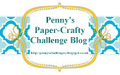 pennys challengeblog