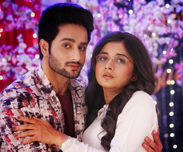 Guddan Tumse Na Ho Payega 28th December 2020 Written Update