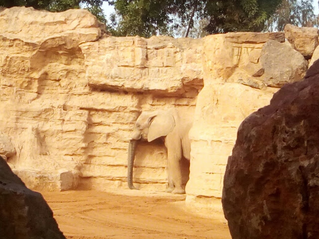 Bioparc Valencia