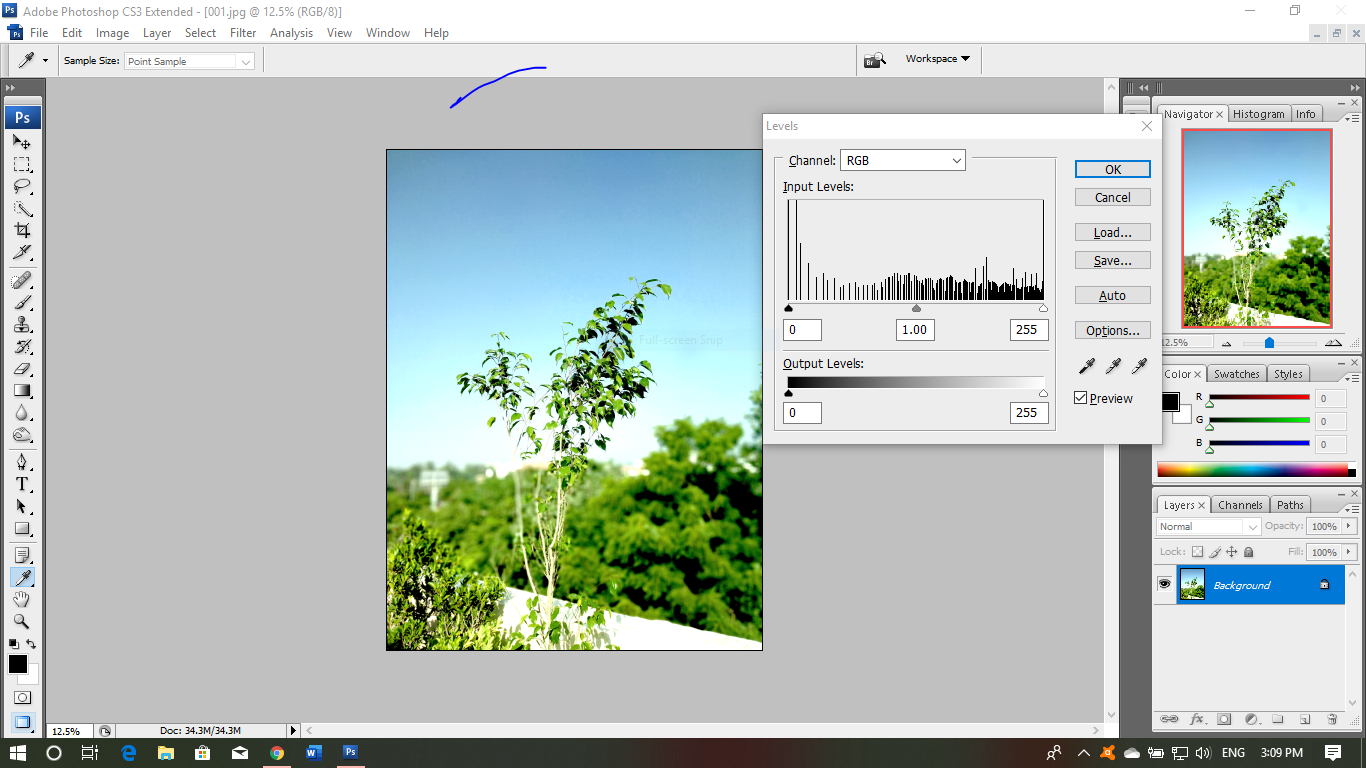 Nature Photography Edit Photographer Choices