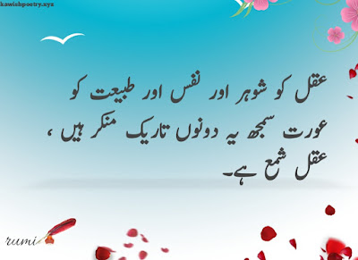 Rumi Quotes In Urdu