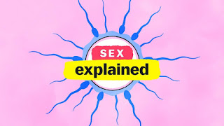 explained on netflix