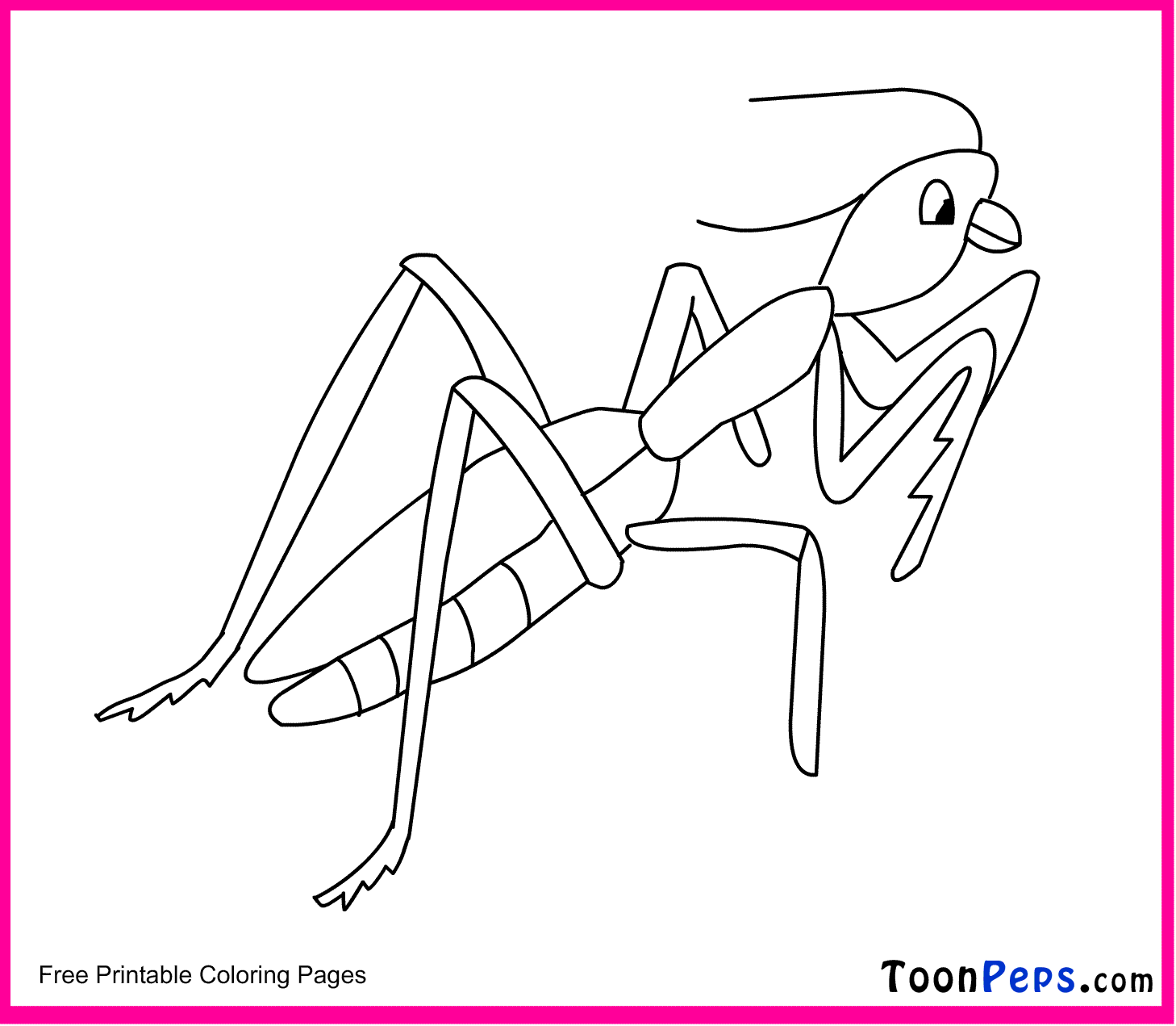 mantis coloring pages - photo #8
