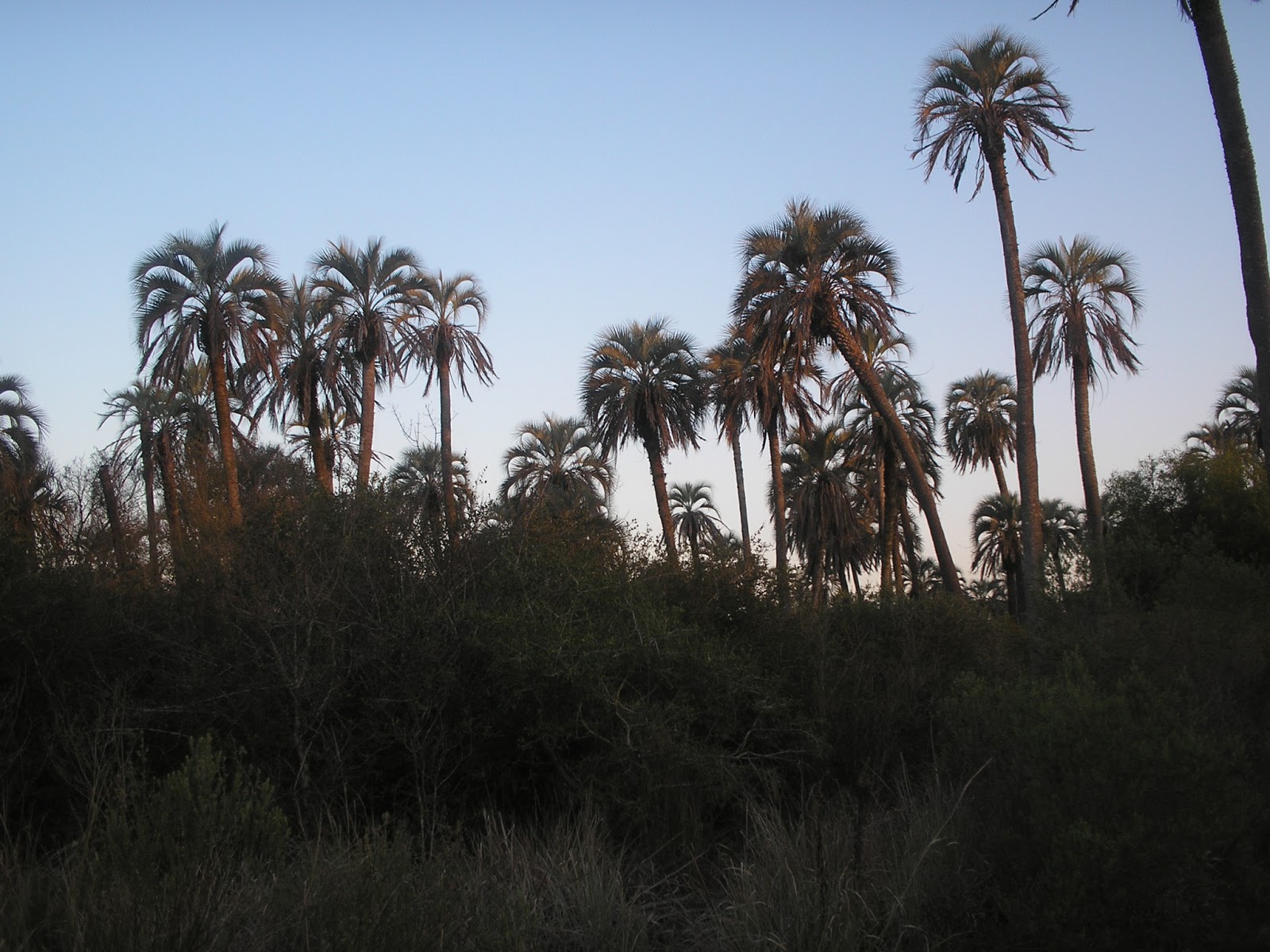 miniturismo y salidas