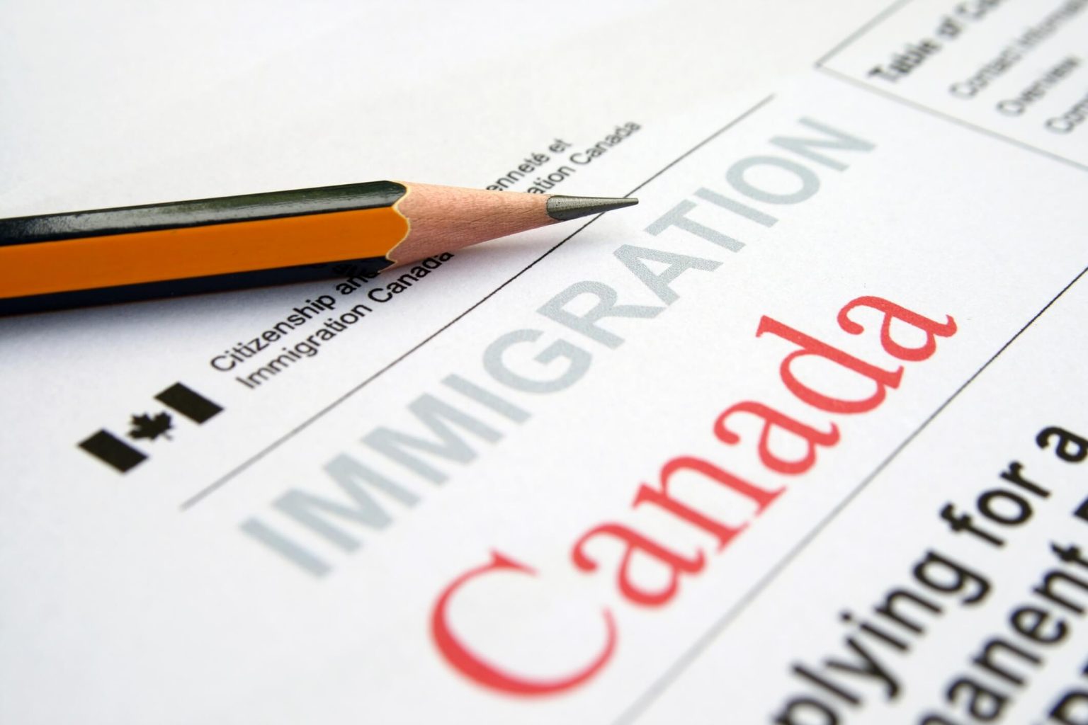 Immigrants Can Help To Create More Jobs