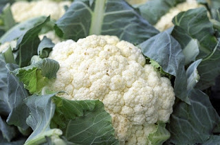 scientist name of cauliflower