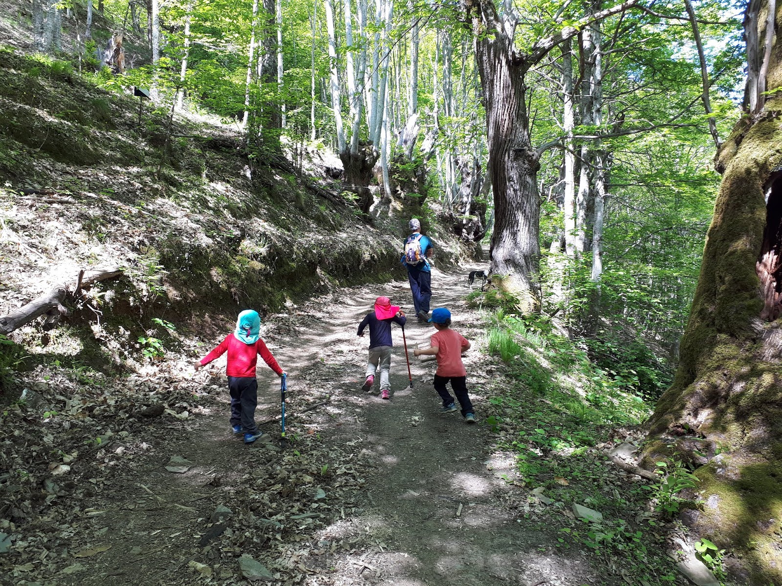 Rutas sin perderse Peke ruta Manzanedo de Valdueza
