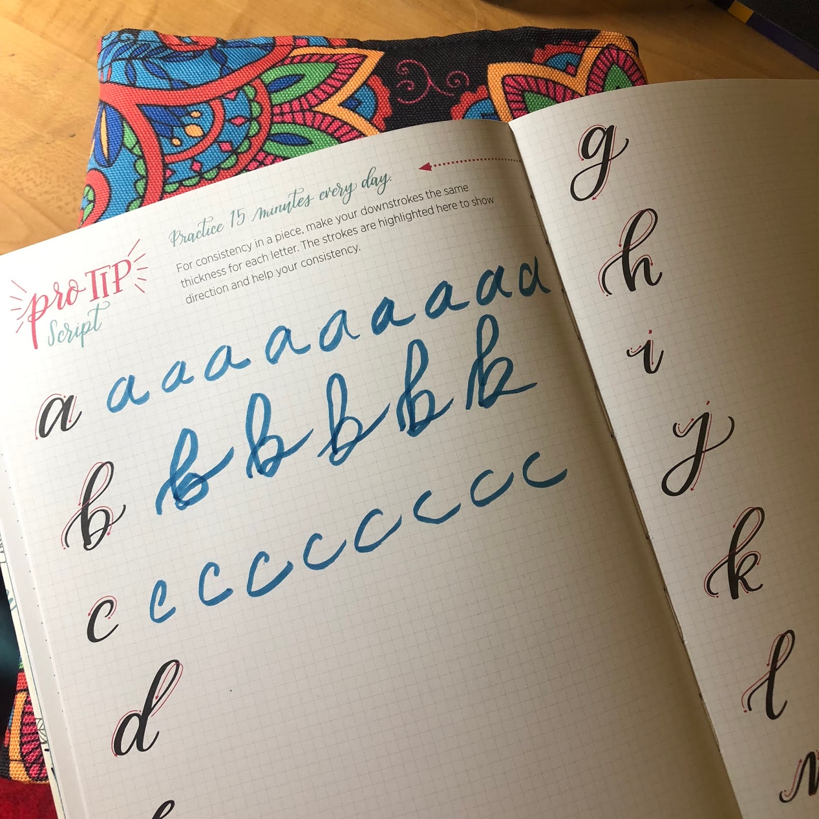 Four Violet Reviews Ellie Claire Art Journals Review