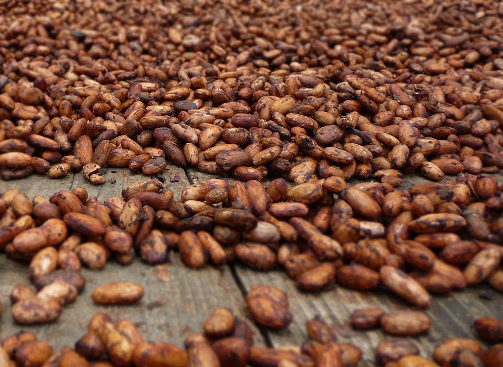 Chocolate History, Culture, and Heritage.