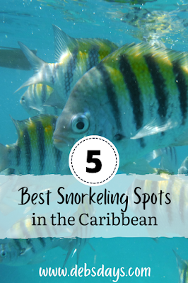 Top 5 snorkeling spots in the Caribbean