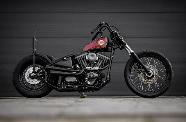 Harley Davidson By MB Cycles