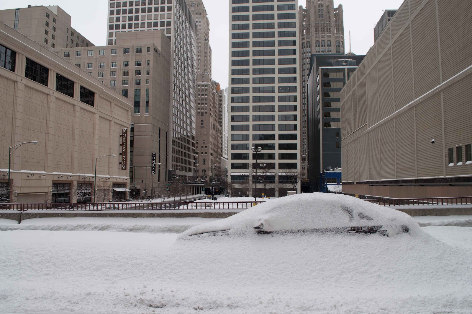 AC Miller Photography Your Daily Dose of Chicago Buried, Ground Hog