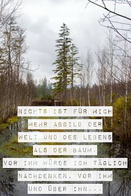 Die 50 besten Zitate zu den Themen Wald und Bäume | Waldzitate | Baumzitate | Naturzitate | Zitate-Wald | Inspirierende-Zitate