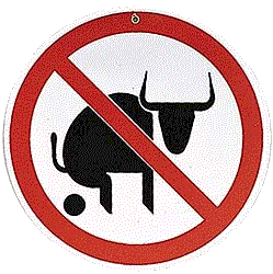 No Bull Fitness