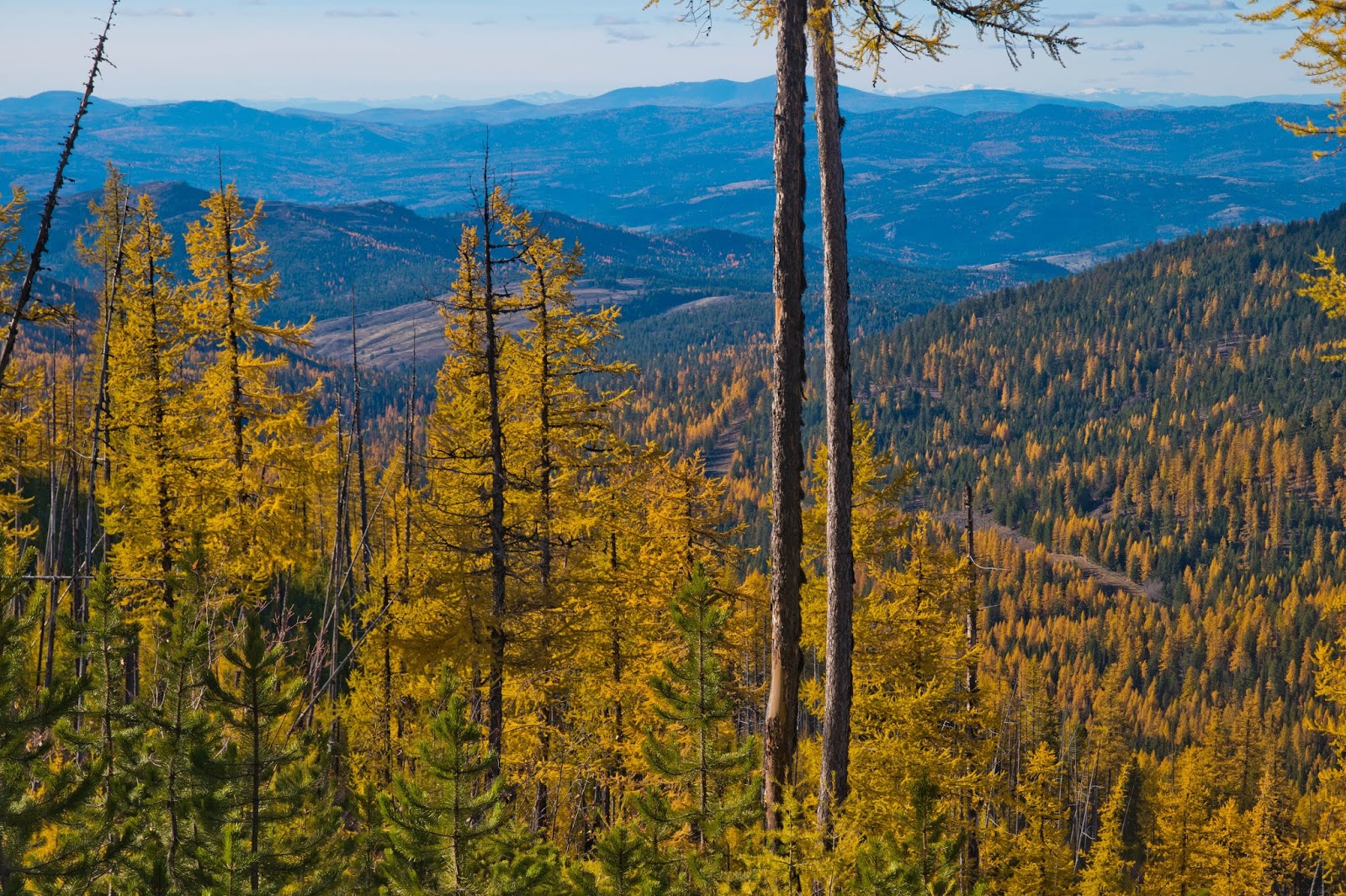 Hiking Shenandoah Sherman Peak Loop