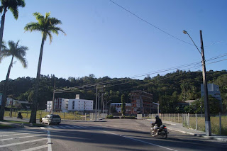 rua-palmeiras