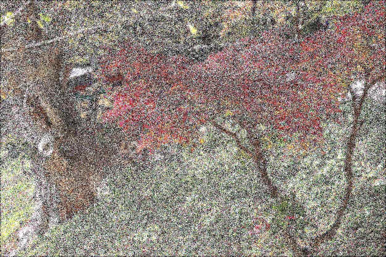 공주 칠갑산 장곡사 공주 칠갑산 장곡사