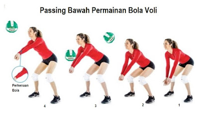 Cara Melakukan Passing Bawah Dalam Permainan Bola Voli Cara Melakukan Passing Bawah Dalam Permainan Bola Voli