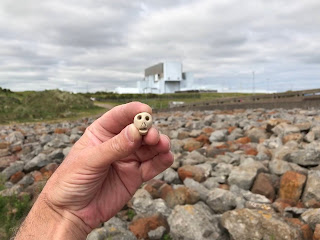 Skulferatu #38 - picture shows a small, clay skull being held up with Torness Power Station in the background.  Photo by Kevin Nosferatu for the Skulferatu Project