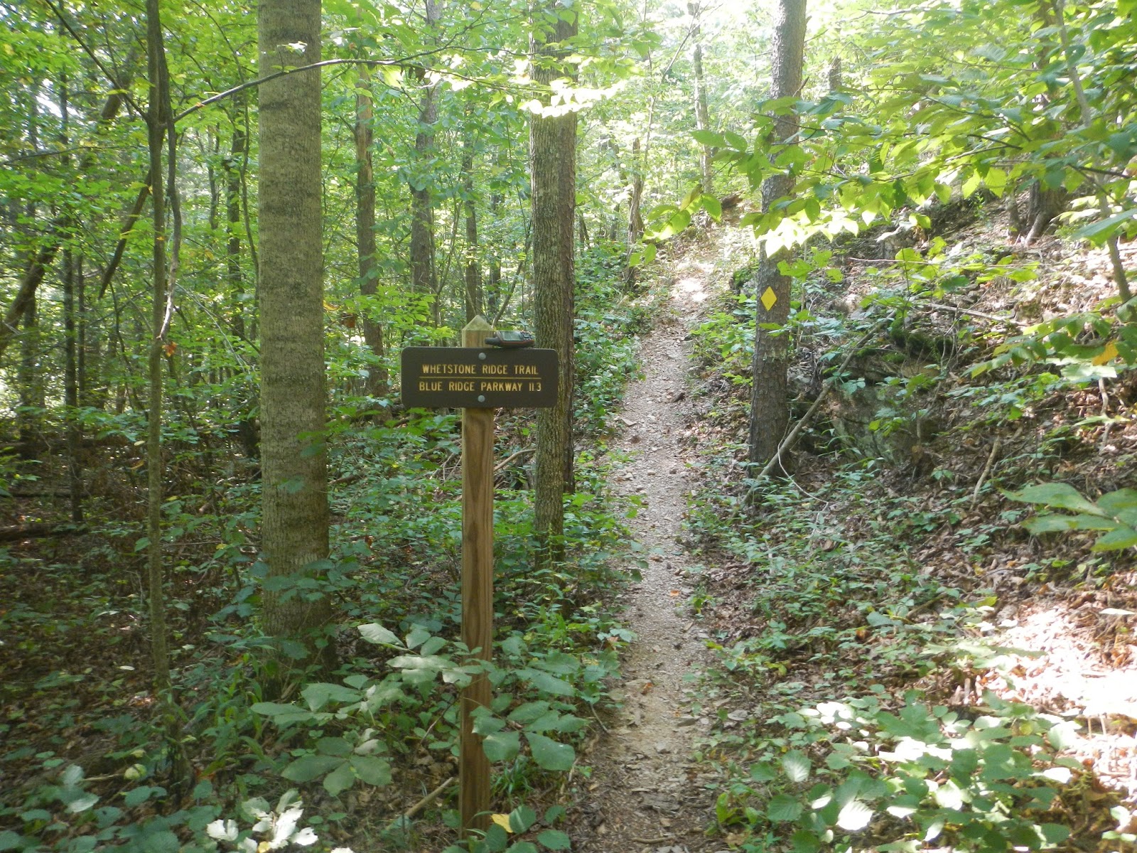 Wandering Virginia: Whetstone Ridge Trail, September 9, 2013