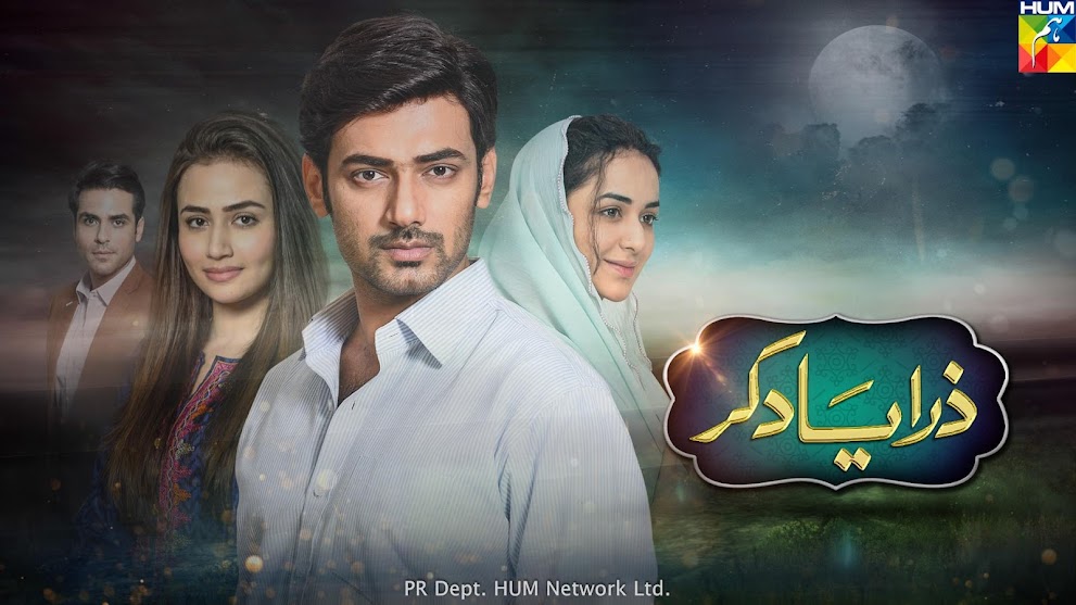 Zara Yaad Kar OST Lyrics | Rahat Fateh Ali Khan | Hum TV