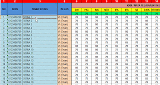 gambar panduan isi data rapor SD excel