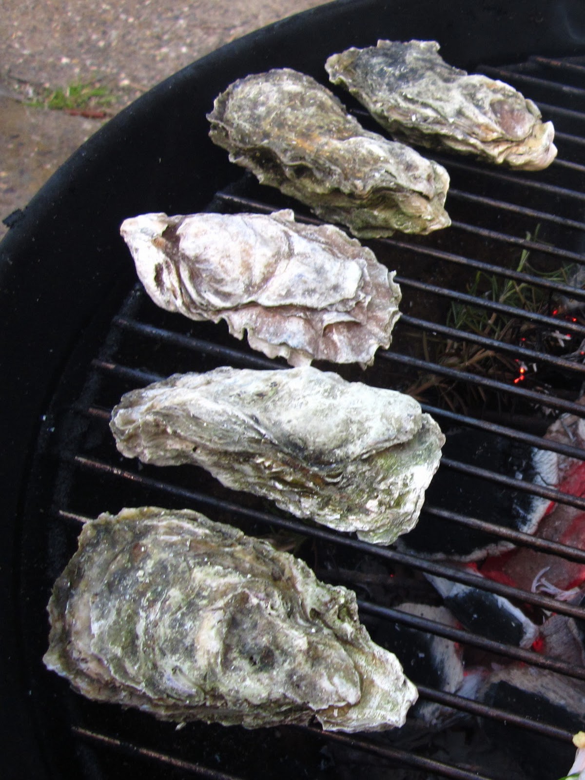 HOW TO Shuck Oysters + A Few Serving Ideas FishFridayFoodies