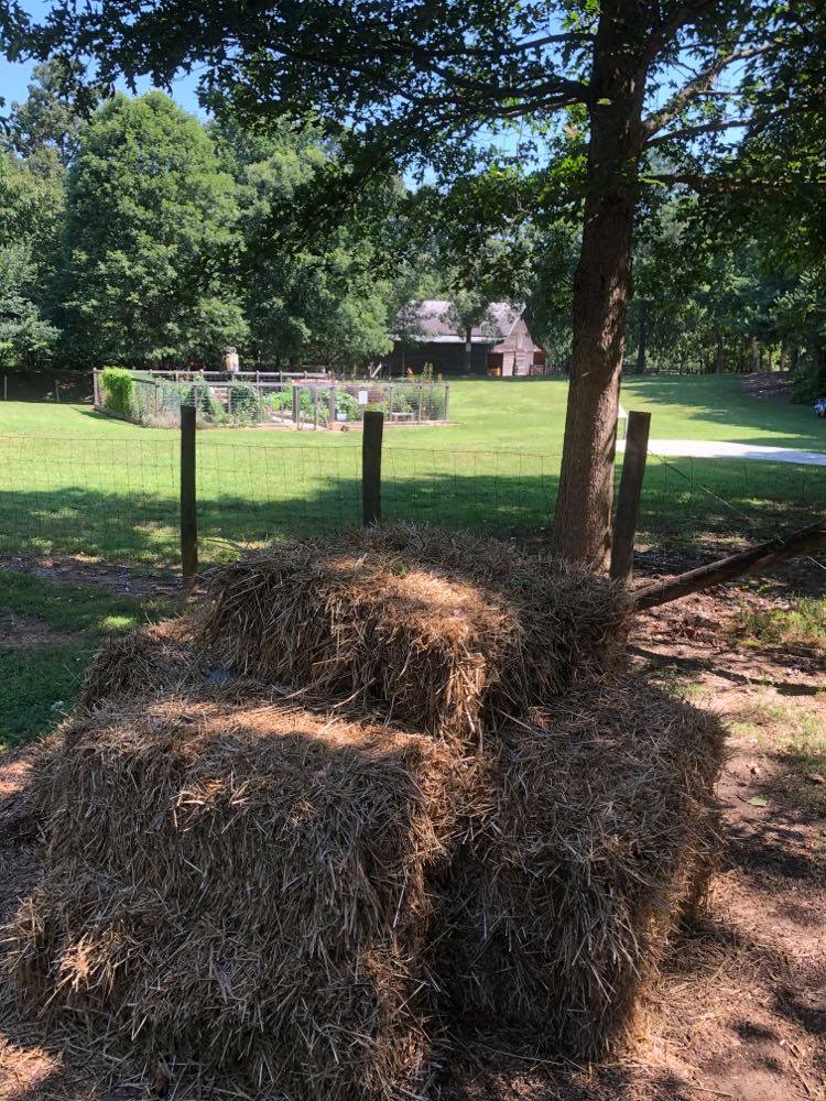 Heroes, Heroines, and History The Magic of McDaniel Farm