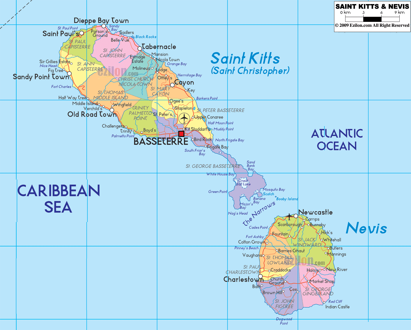 St.Kitts Rodent Recovery Day 1 ~ If Only Squirrels Could Talk&hellip;