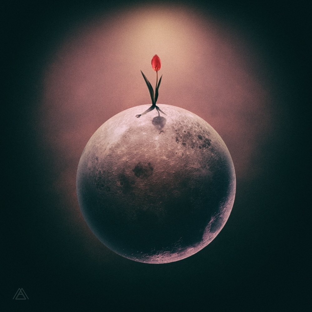 MAKTUB – Red Moon : The Flower – Single