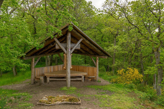 Traumschleife Masdascher Burgherrenweg  Saar-Hunsrück-Steig  Wandern Kastellaun  Premiumwanderweg Mastershausen  Deutschlands schönster Wanderweg 2018 07