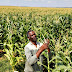 Global $500M Data Drive Aims to Boost Harvests, End Hunger