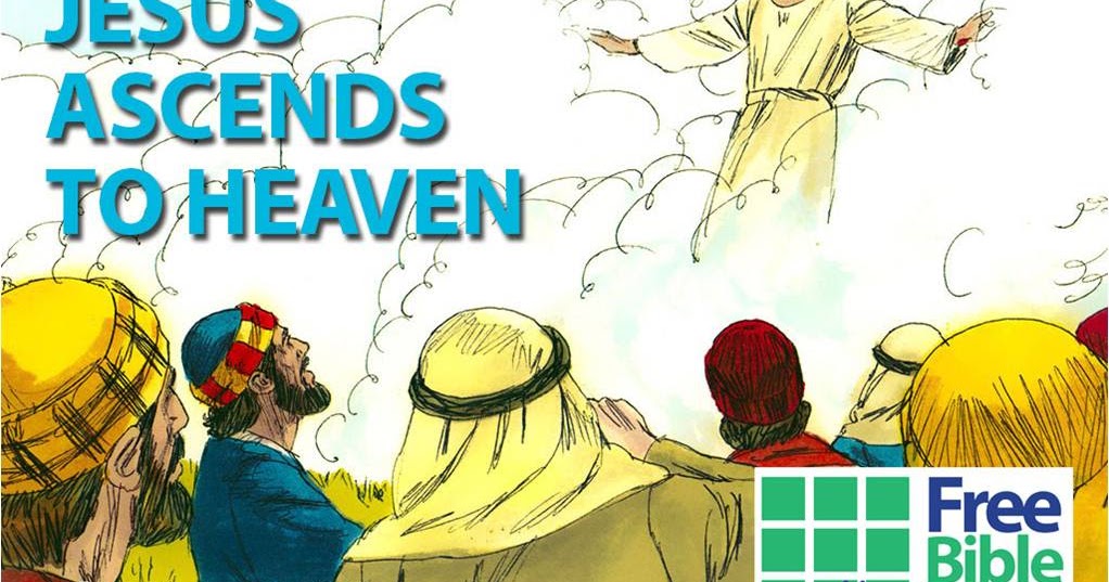 Biblijne obrazy: Nowy Testament