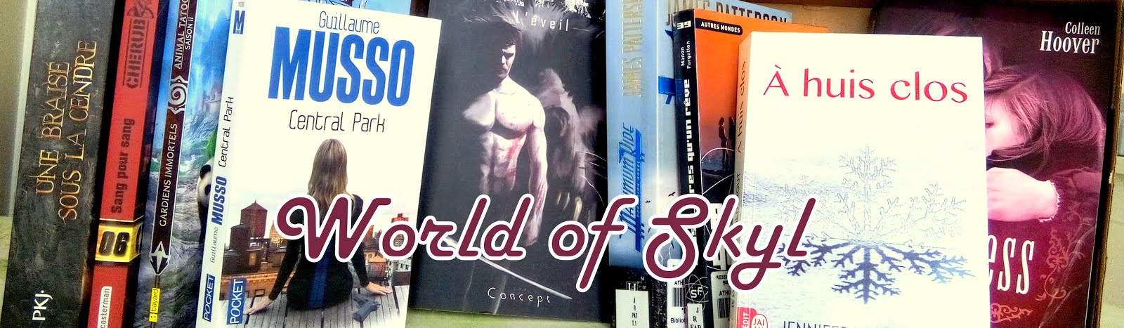 World of Skyl